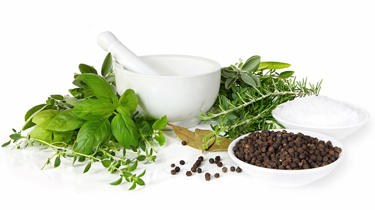 beneficios plantas medicinales